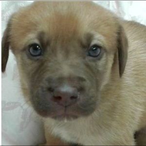 Meet your Posher, Sage